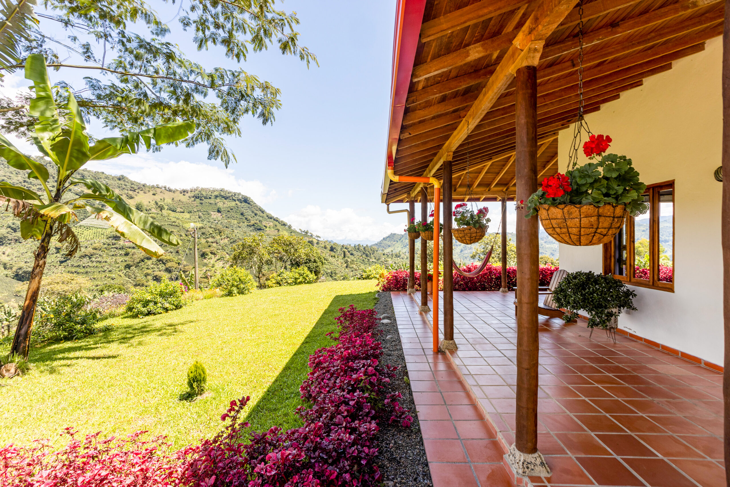 Tour de café y Chiva Rumbera en Medellín: lo mejor de Antioquia