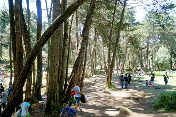 parque arvi medellin